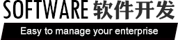 上海志勋软件开发项目